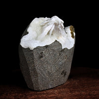 Natural Scolecite Geode Spray 156g | Zeolite Mineral Cluster from India 7x6cm