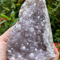 Uruguayan Amethyst Cluster, Grade B Amethyst Geode with Cut Base, Pick a Size