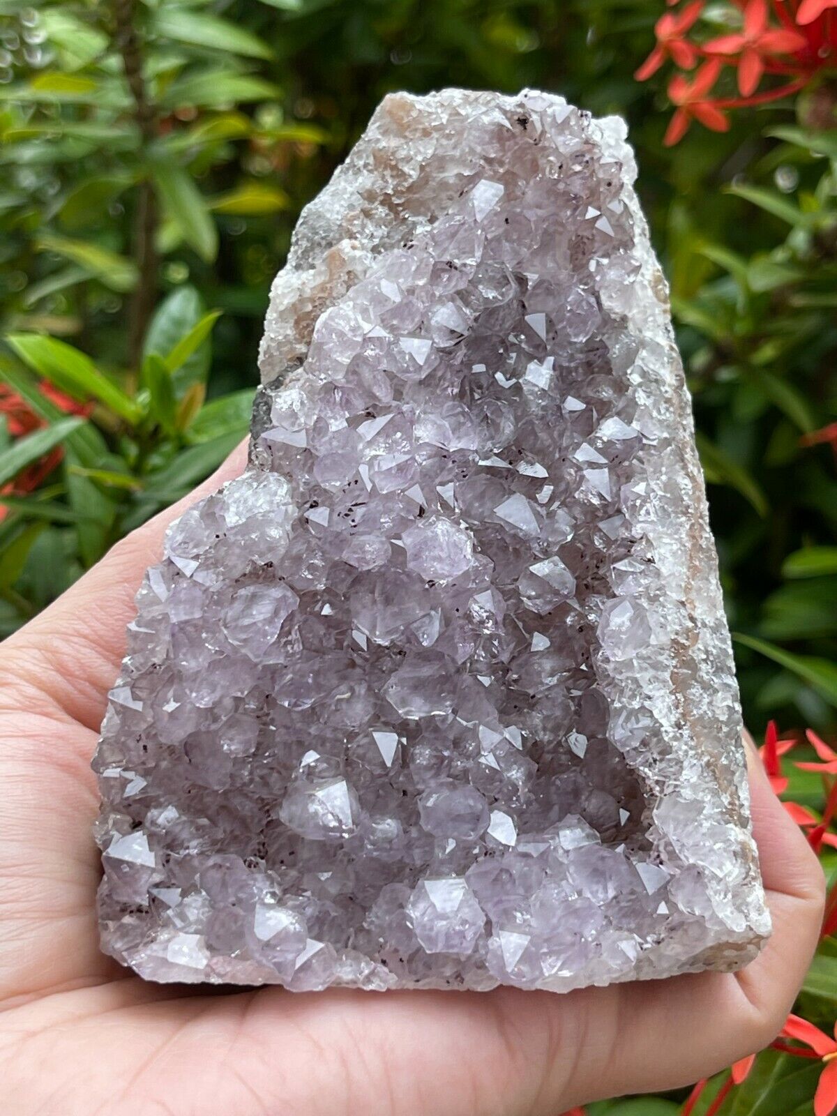 Uruguayan Amethyst Cluster, Grade B Amethyst Geode with Cut Base, Pick a Size
