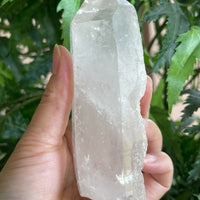 Extra Large Natural Clear Quartz Points, 2 to 7 Inch Quartz Crystals, Grade B