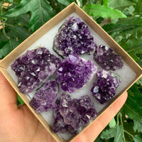 Raw Amethyst Cluster Druzy Collection Box:6-8 oz, 7 - 10 Pieces Natural Amethyst
