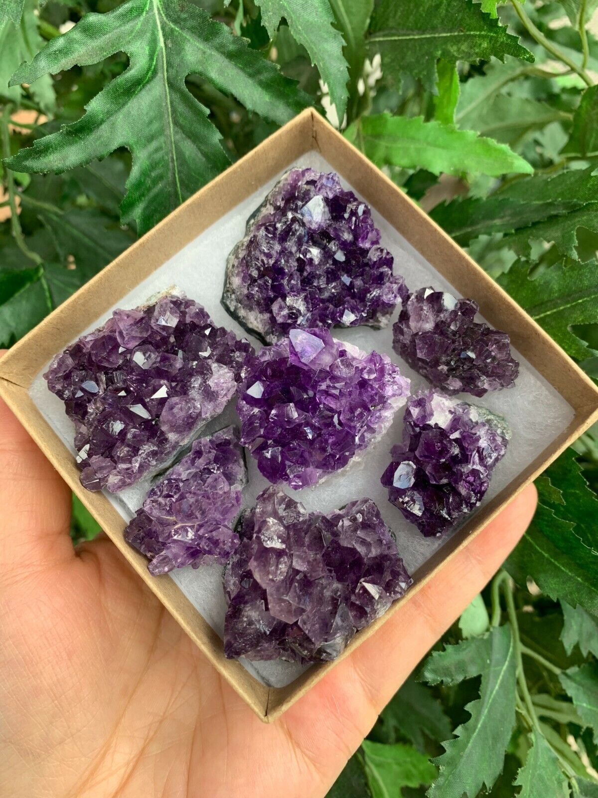 Raw Amethyst Cluster Druzy Collection Box:6-8 oz, 7 - 10 Pieces Natural Amethyst