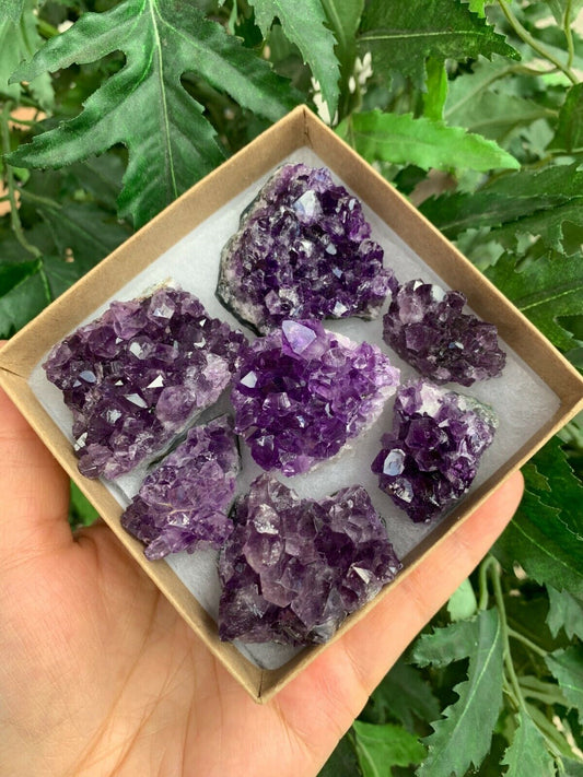 Raw Amethyst Cluster Druzy Collection Box:6-8 oz, 7 - 10 Pieces Natural Amethyst