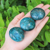 Blue Apatite Hand Polished Stones: Palm Stone, Blue Apatite Pebble Stone