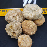 5 lbs Premium Kentucky Uncut Geodes Agates Nodules Lapidary Quartz Crystals Sale