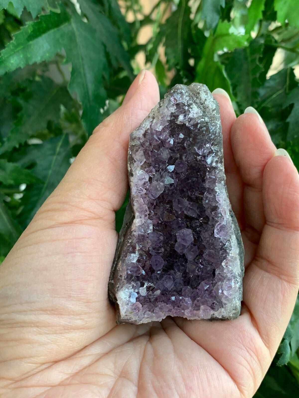 Amethyst Cluster, Amethyst Geode From Uruguay Cut Base, Pick a Size