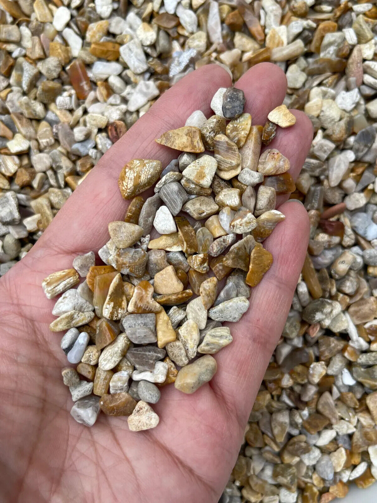 Grade A++ Semi Tumbled Gemstone Mini Chips 3 - 18 mm, Choose From 4 oz to 3 lbs