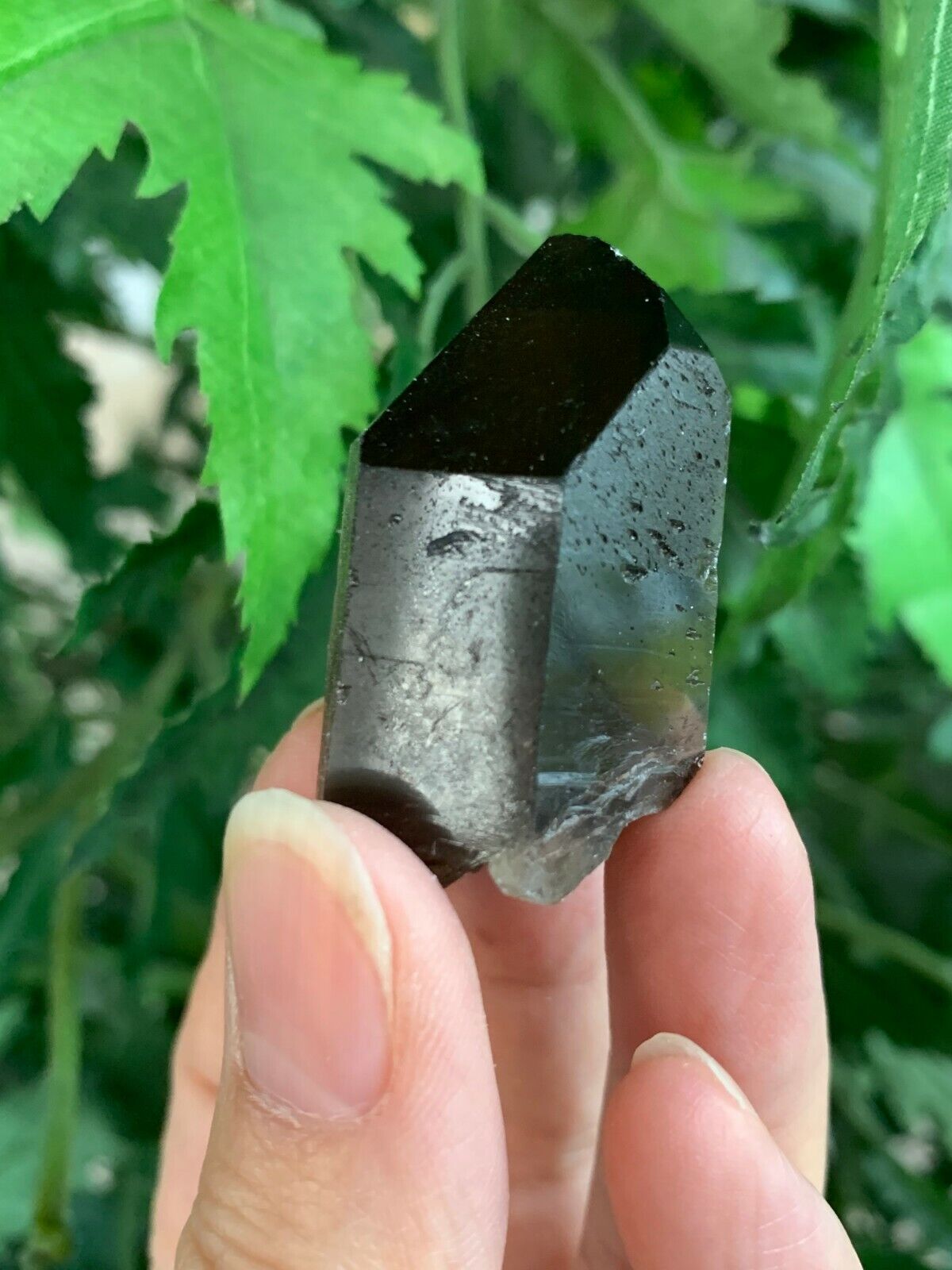 Natural Smoky Quartz Crystal Points, Raw Smoky Quartz Point, Wholesale Bulk Lot