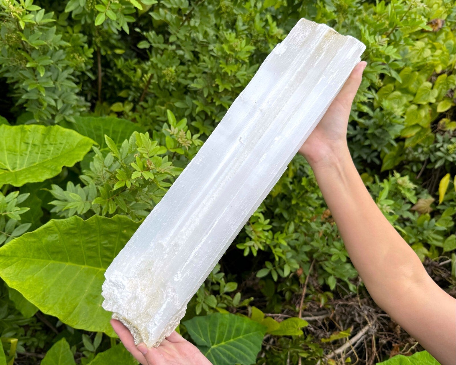 MASSIVE Selenite Logs - Natural White Selenite Crystals (HUGE Selenite Sticks)