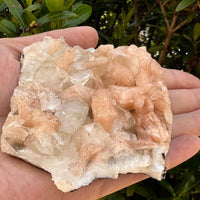 Apophyllite & Stilbite Crystal Cluster 3-8", Apophyllite Cluster with Inclusions