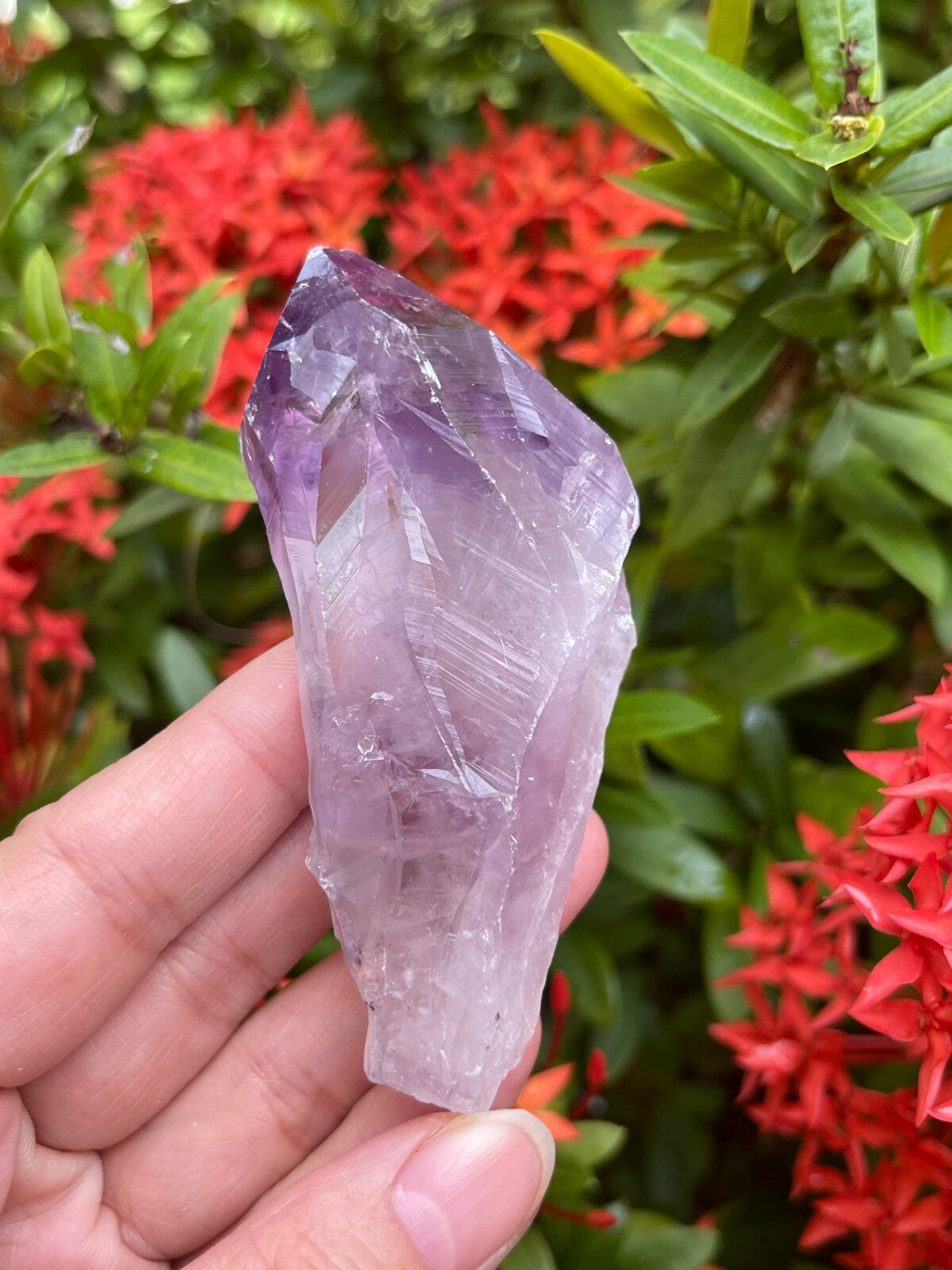 Extra Large Amethyst Rough Points, 2.5 - 3.25" Raw Amethyst Points, Bulk Lot