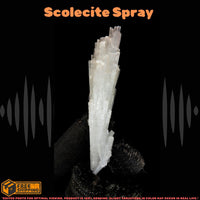 10g Scolecite Healing Cluster | 8x2x1 cm | Natural White Zeolite Crystal