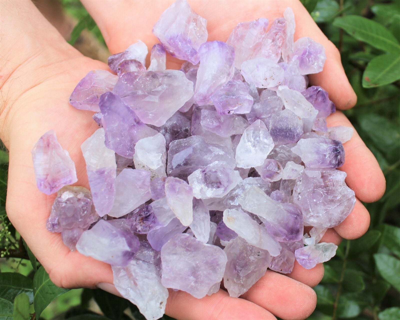 Wholesale CLEARANCE Amethyst Crystal Points, 500 Carat Lot Natural Rough Quartz