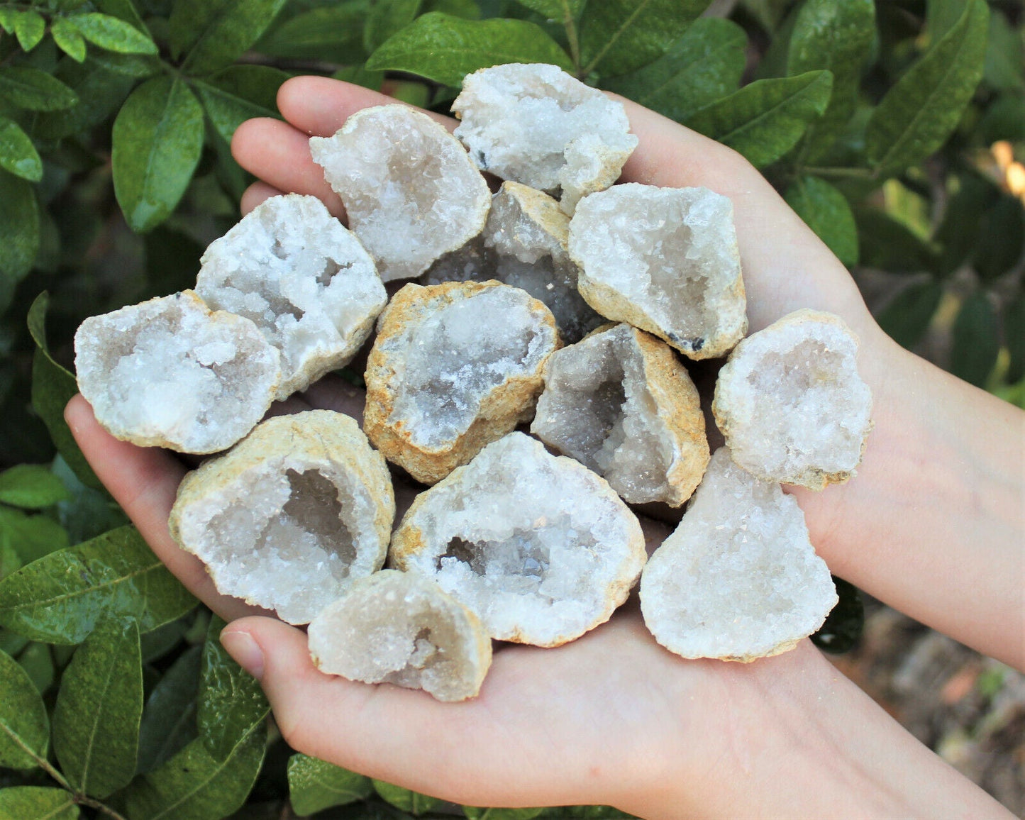 Break Your Own Geodes Gift Box (4 LARGE pcs) Unopened Moroccan Crystal Geodes
