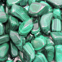 5 MEDIUM Malachite Tumbled Stone (Crystal Healing Reiki Gemstone Metaphysical)