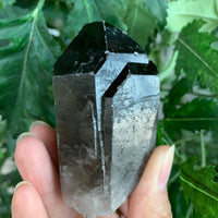 Extra Large Natural Smoky Quartz Crystal Points, 2-3 Inches Smoky Quartz Point