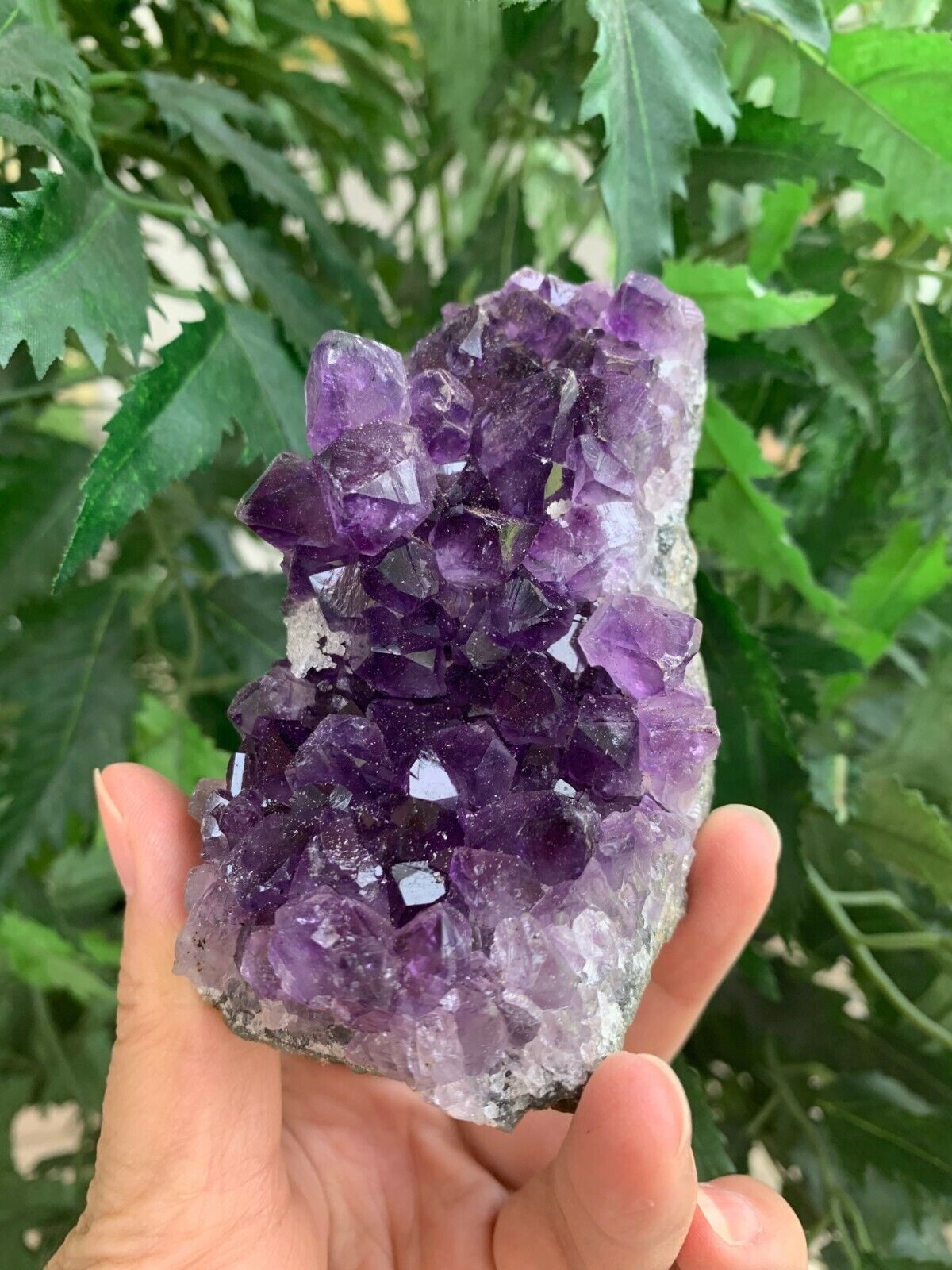 Deep Purple Amethyst Cluster From Uruguayan, Amethyst Geode, Raw Amethyst