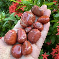 1/2 Lb Lot Tumbled Stones, 0.75-1.25" Crystal Healing Stones, Choose Stone Type