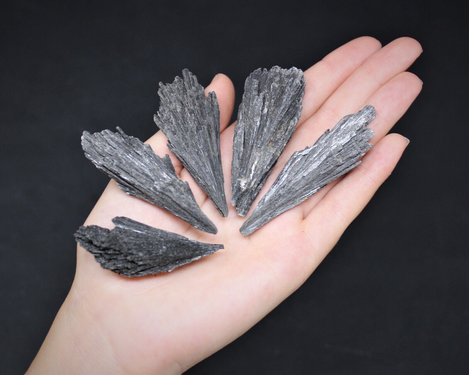 1 lb Black Kyanite Blades Fans: Natural Premium Quality Wholesale Bulk Lot 16 oz