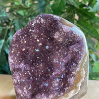 Finely Polished Uruguay Amethyst Cluster Crystal Geode, Pick a Size: 0.5 to 4 Lb