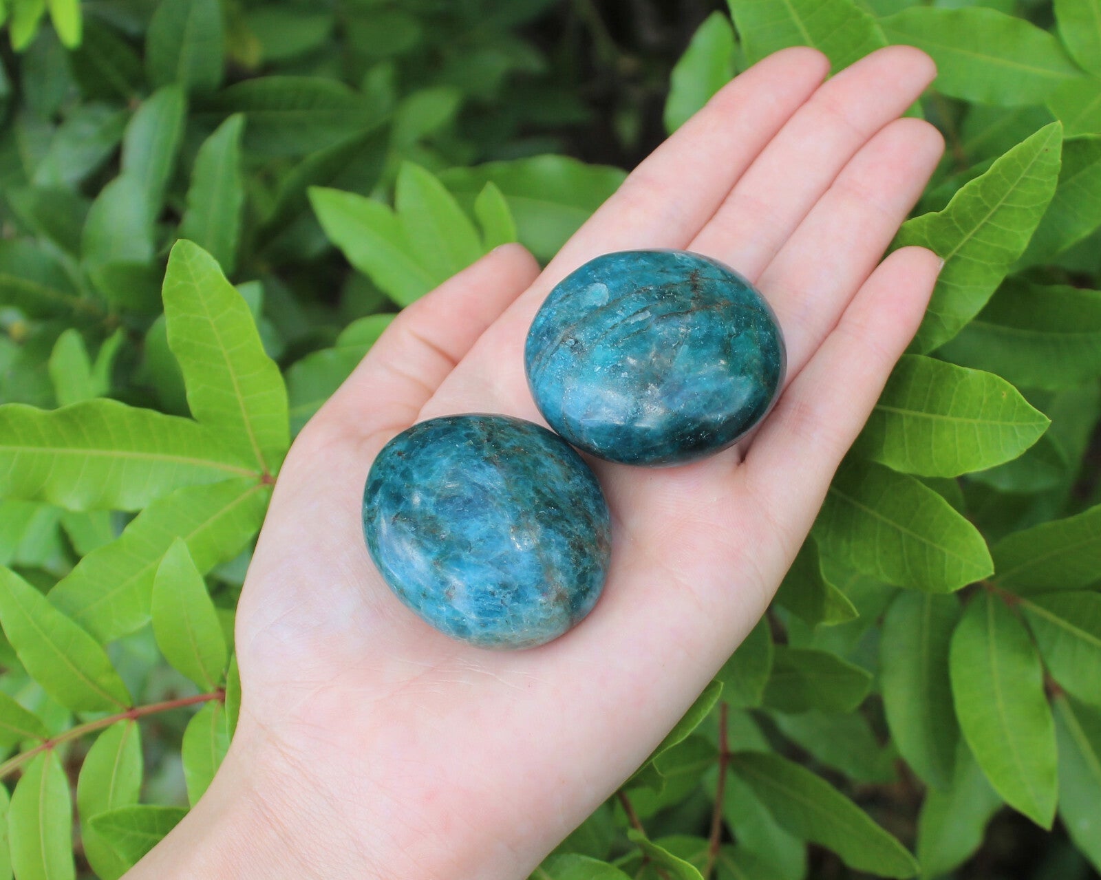Blue Apatite Hand Polished Stones: Palm Stone, Blue Apatite Pebble Stone