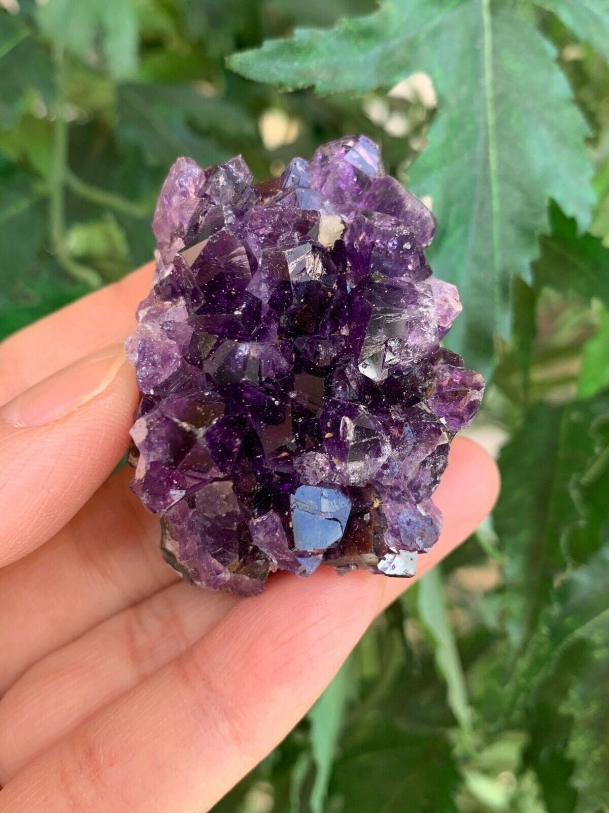 Deep Purple Amethyst Cluster From Uruguayan, Amethyst Geode, Raw Amethyst