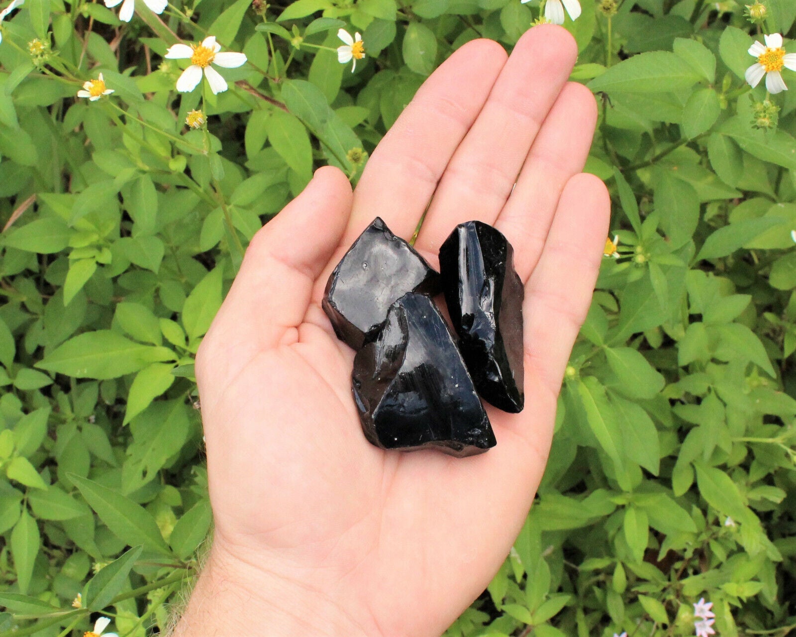 Raw Natural Black Obsidian Crystals: Choose How Many Pieces - Rough Obsidian