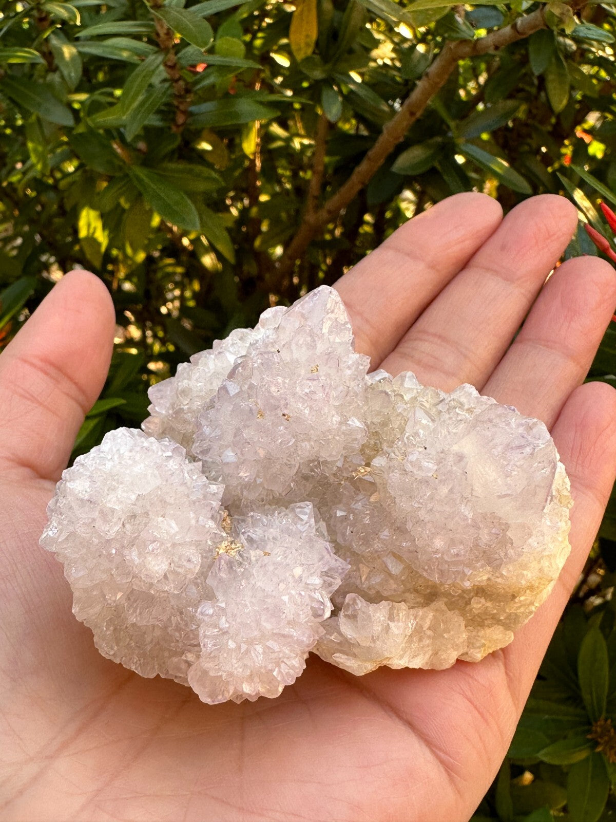 Grade A++Spirit Quartz Clusters,Natural Spirit Quartz Crystals, Porcupine Quartz
