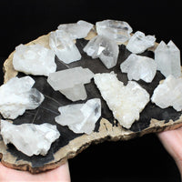 Bulk 1/2 lb (2 - 3 piece lot) Natural Clear Quartz Crystal Clusters Geodes