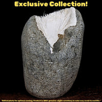 Rare Scolecite Spray in Geode 90g Natural Mineral Specimen India 5x4cm