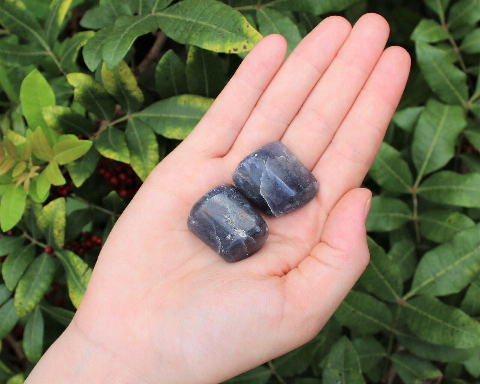 2 Medium Large Tumbled Iolite Gemstone Crystals (Third Eye Chakra)