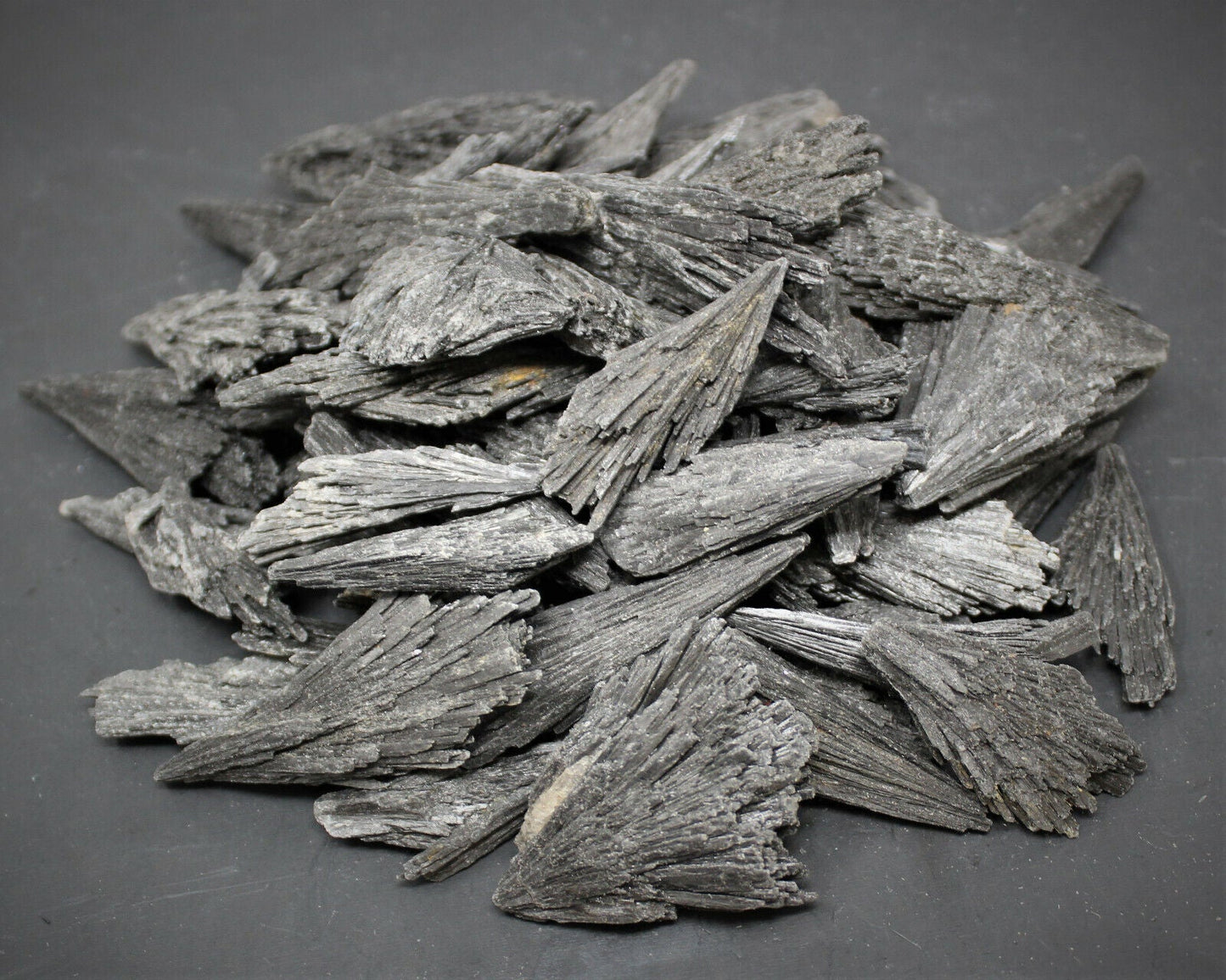 1 lb Black Kyanite Blades Fans: Natural Premium Quality Wholesale Bulk Lot 16 oz