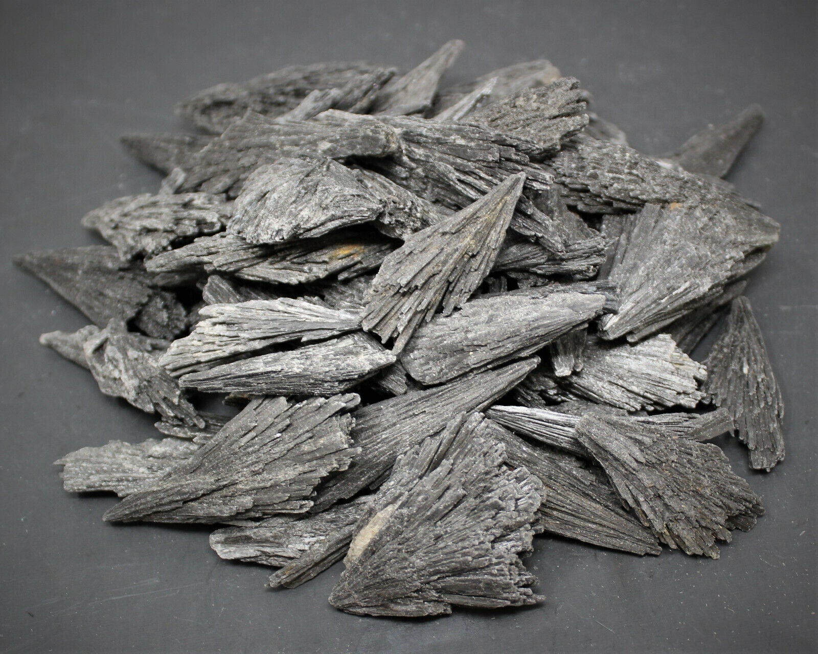 1 lb Black Kyanite Blades Fans: Natural Premium Quality Wholesale Bulk Lot 16 oz