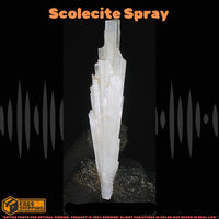 Natural Scolecite Cluster 6g White Zeolite Mineral Crystal from India