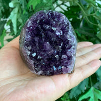 Finely Polished Uruguay Deep Purple Amethyst Cluster Crystal Geode, Pick a Size