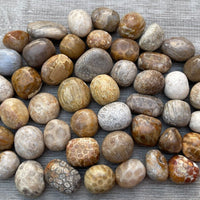 1/2 Lb Lot Tumbled Stones, 0.75-1.25" Crystal Healing Stones, Choose Stone Type