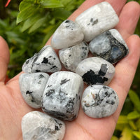 1/2 Lb Lot Tumbled Stones, 0.75-1.25" Crystal Healing Stones, Choose Stone Type