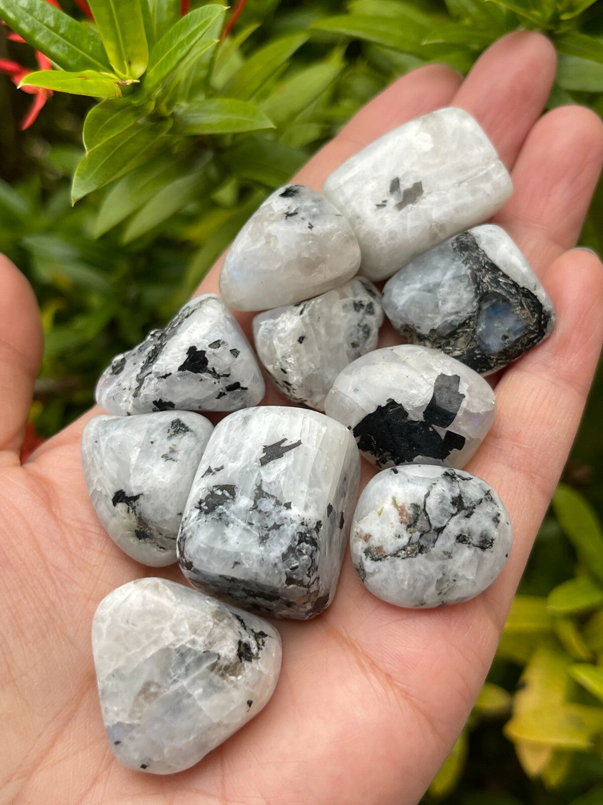 1/2 Lb Lot Tumbled Stones, 0.75-1.25" Crystal Healing Stones, Choose Stone Type