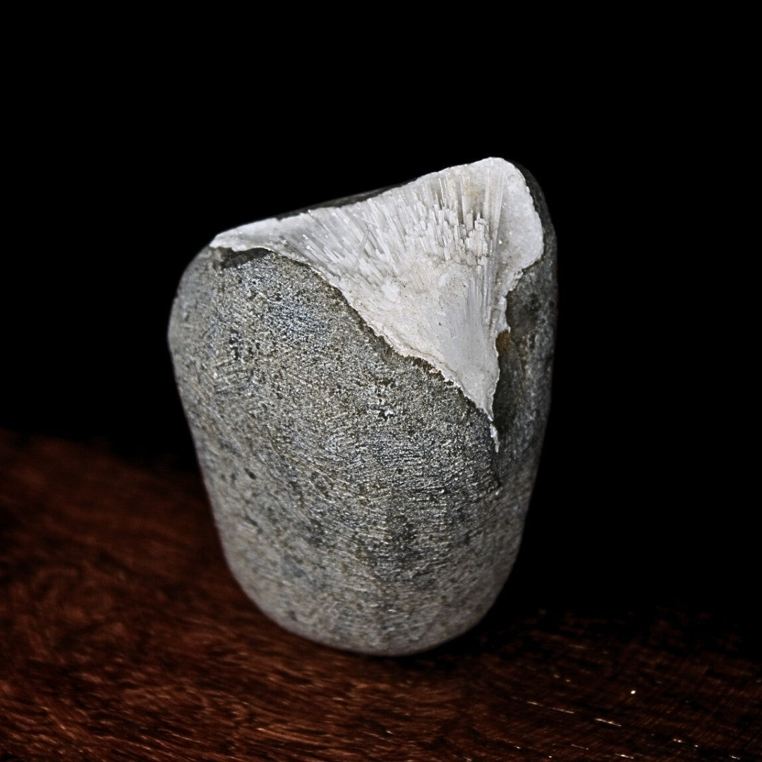 Rare Scolecite Spray in Geode 90g Natural Mineral Specimen India 5x4cm