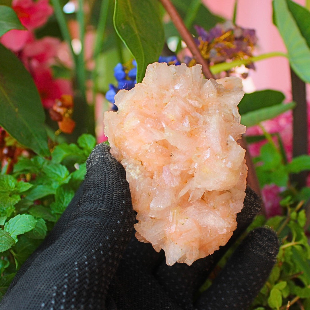 Rare 200g Natural Stilbite & Heulandite on Matrix Mineral Specimen India