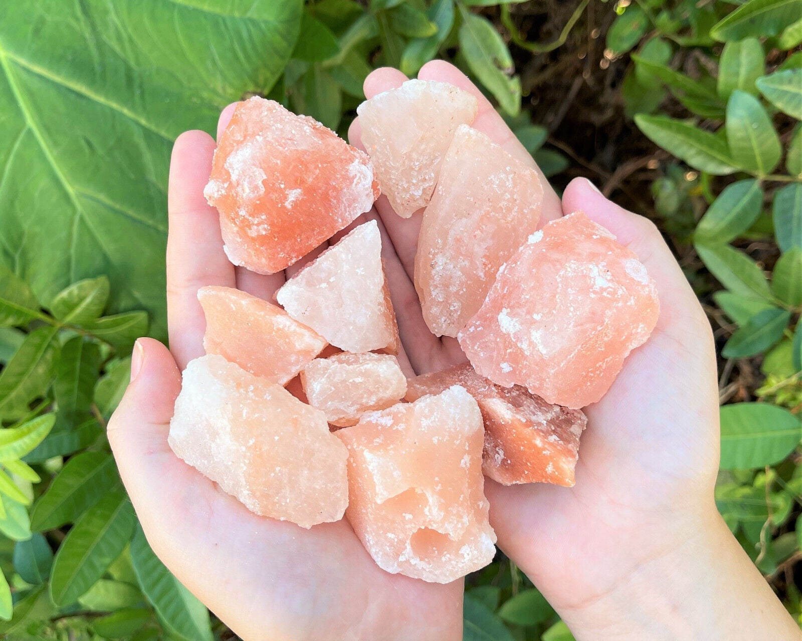 Natural Himalayan Salt Chunks: XL Large (Chunky Crystals, Pink Sea Salt, Rocks)
