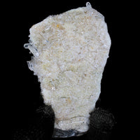 Himalayan Clear Quartz 150g Healing Stone for Energy, Meditation & Reiki