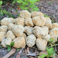 Break Your Own Geodes Gift Box (8 - 12 pcs) Large Unopened Moroccan Crystals