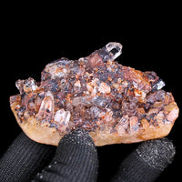 Phantom Quartz Crystal 130g 7x3 cm Natural Healing Cluster Raw Stone India