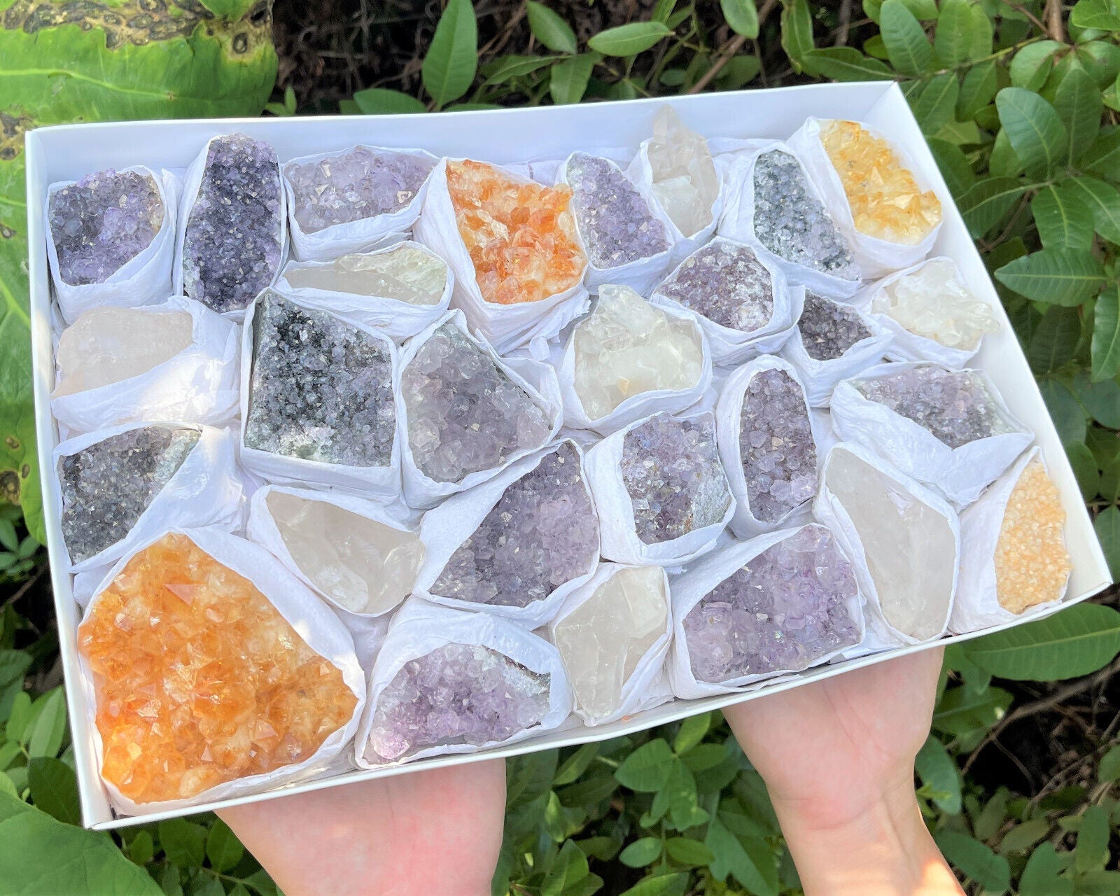 HUGE Bulk Lot Citrine Clear Quartz Amethyst Clusters Druze Crystal 20 - 30 Piece