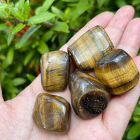 Grade A++ Gold Tiger Eye Tumbled Stones, 1"-1.5" Tumbled Tiger Eye,Pick How Many