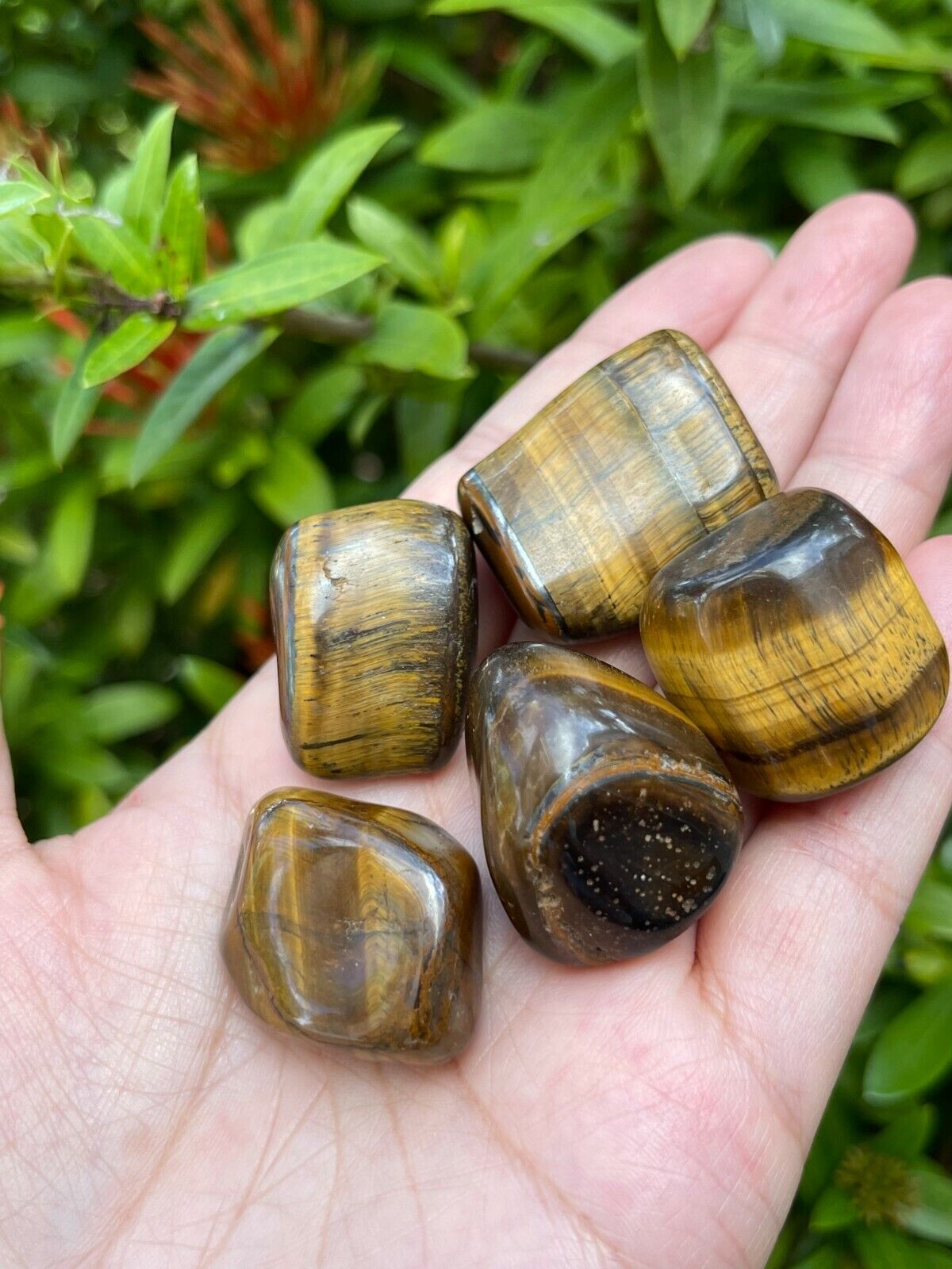 Grade A++ Gold Tiger Eye Tumbled Stones, 1"-1.5" Tumbled Tiger Eye,Pick How Many