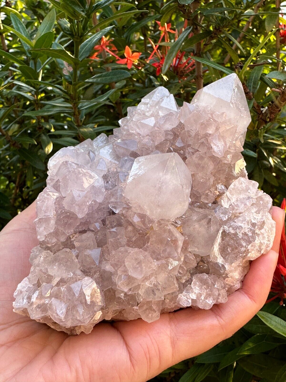 Grade A++Spirit Quartz Clusters,Natural Spirit Quartz Crystals, Porcupine Quartz