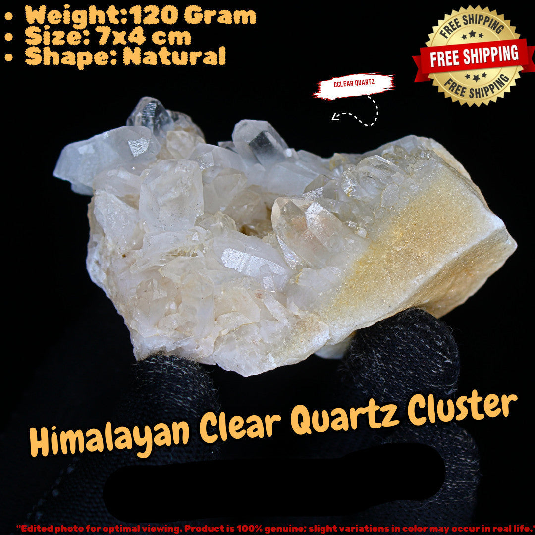 Rare 120g Golden Rutile Quartz with Chlorite Crystal Cluster  India 7x4cm