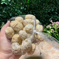 2cm-5cm Break Your Own Geodes Unbroken Quartz Crystal Geode 0.2 LB